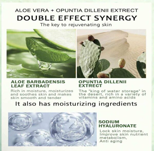 Aloe Vera Moisture Facial Sheet Mask (10pcs)